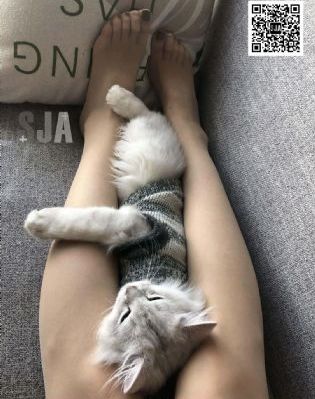 尸变菌株_蓝光免费在线播放
