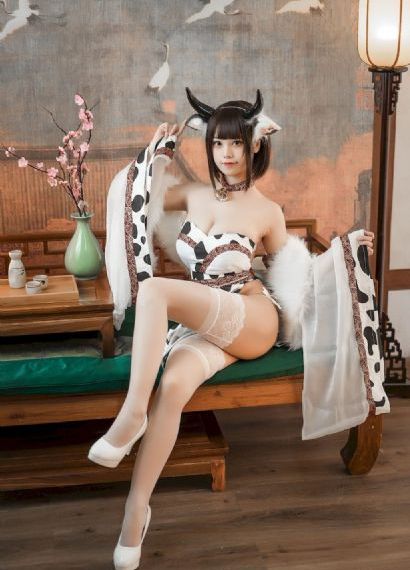 《女主角》完整版在线播放_DVD完整视频观看